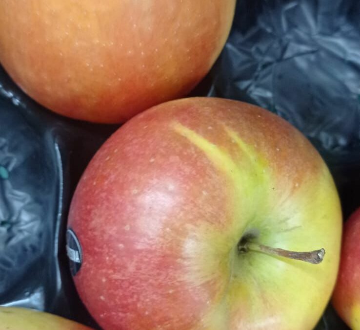 La manzana, ¿un fruto prohibido?